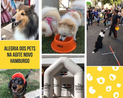 Pets Hercosul na Agite Novo Hamburgo