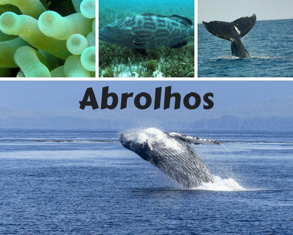 Abrolhos - Belezas e Aventuras