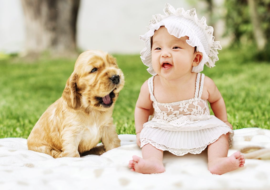 A relação entre Mãe, Criança e Animal