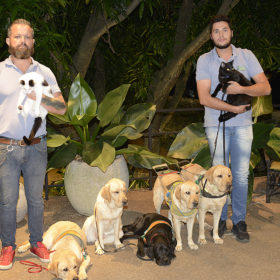 Pets da Escola Helen Keller