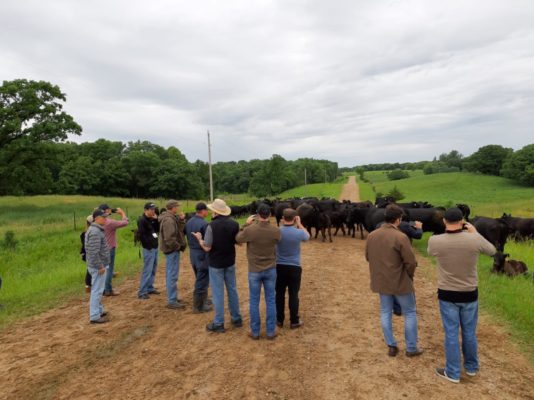 Fazenda Schiefelbein, em Kimball, Minnesota - Foram dias intensos de muita integração entre os participantes, produtores, pesquisadores da Universidade do Kansas e equipe GENEX nos EUA