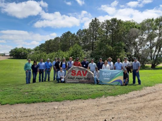 Schaff Angus Valley - Foram dias intensos de muita integração entre os participantes, produtores, pesquisadores da Universidade do Kansas e equipe GENEX nos EUA