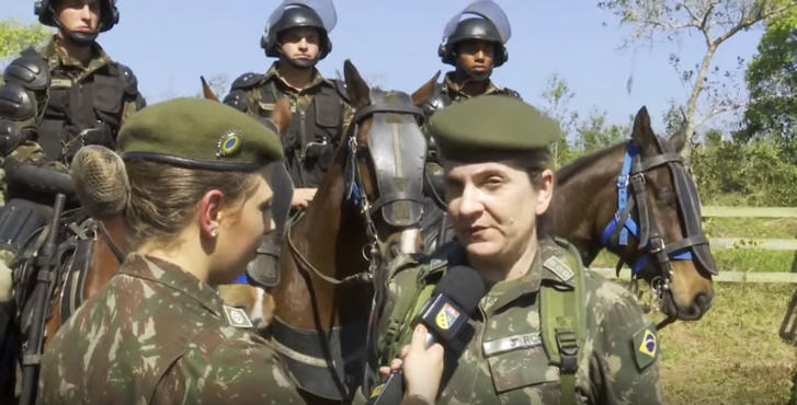 Cavalos do Exército Brasileiro