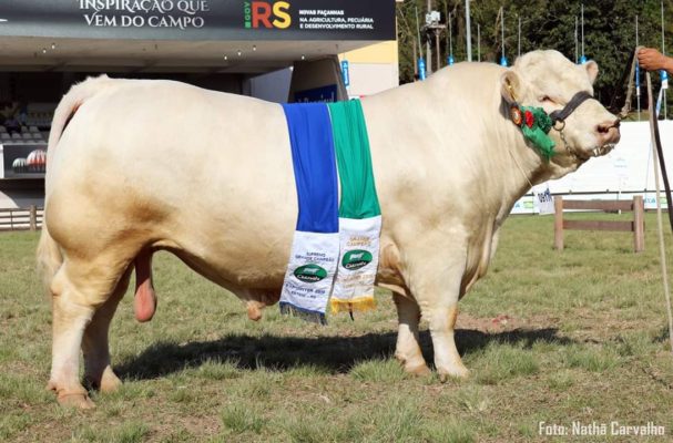 premiações da Expointer 2019