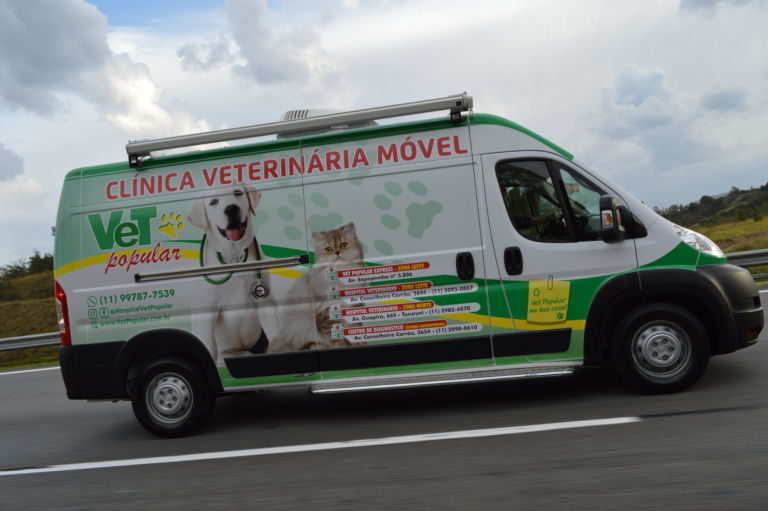 Clínica veterinária móvel em São Paulo - Movinho