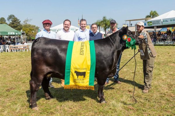 premiações da Expointer 2019