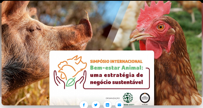 Simpósio Internacional de Bem-estar Animal