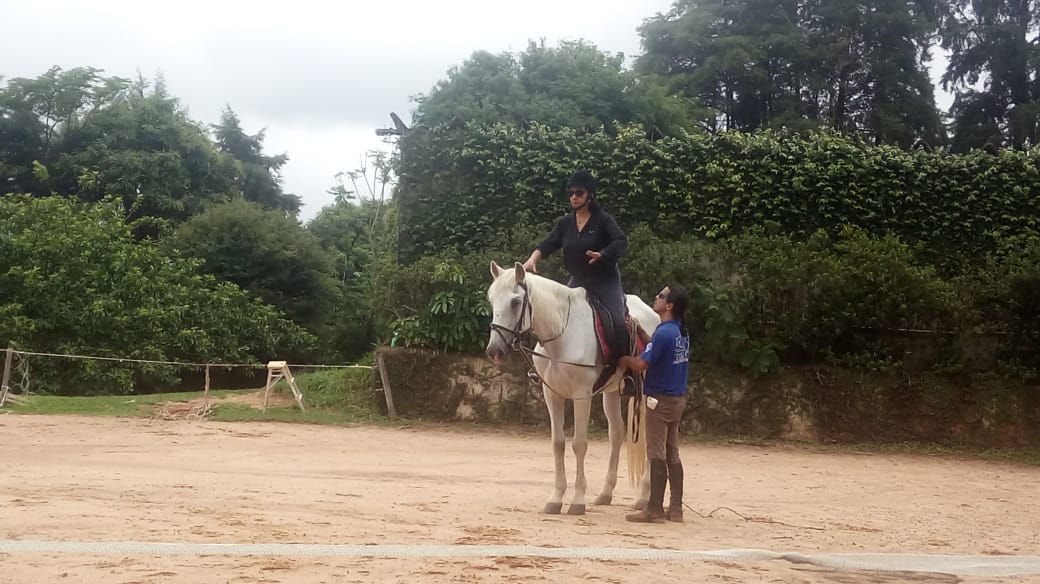 Montar Cavalos na Terceira Idade