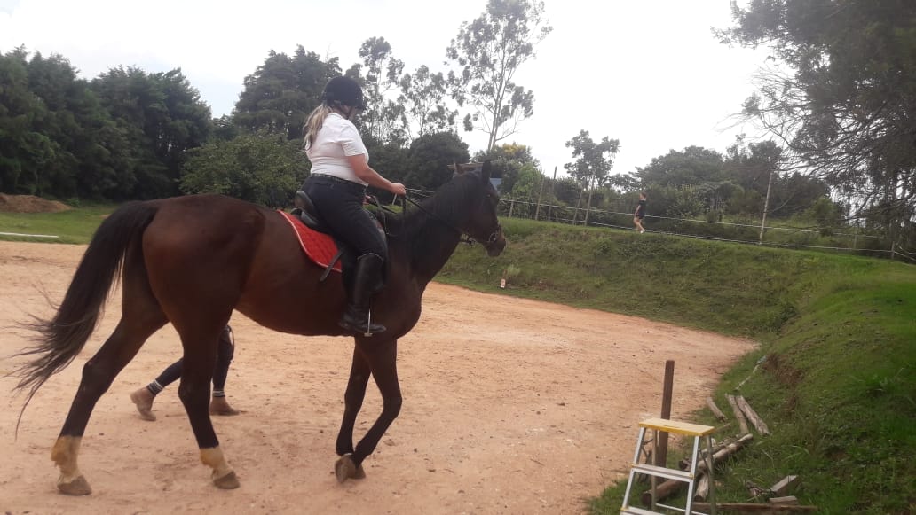 Montar Cavalos na Terceira Idade