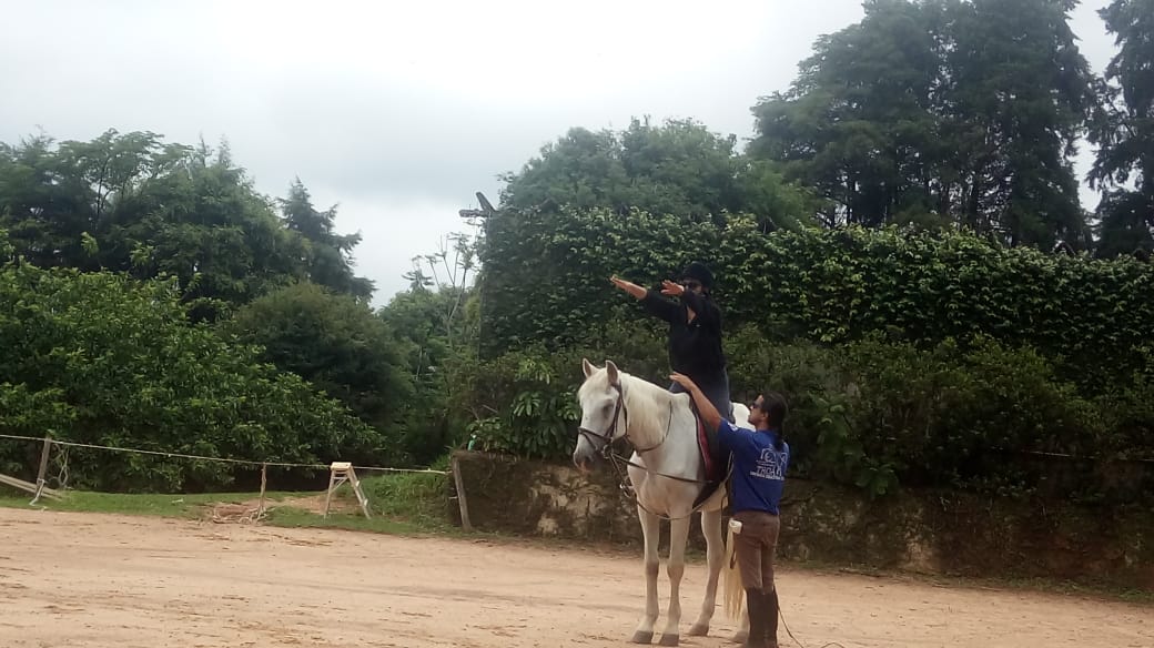 Montar Cavalos na Terceira Idade