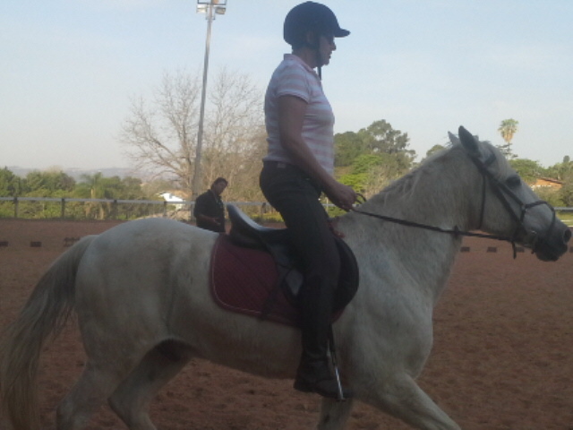 Montar Cavalos na Terceira Idade