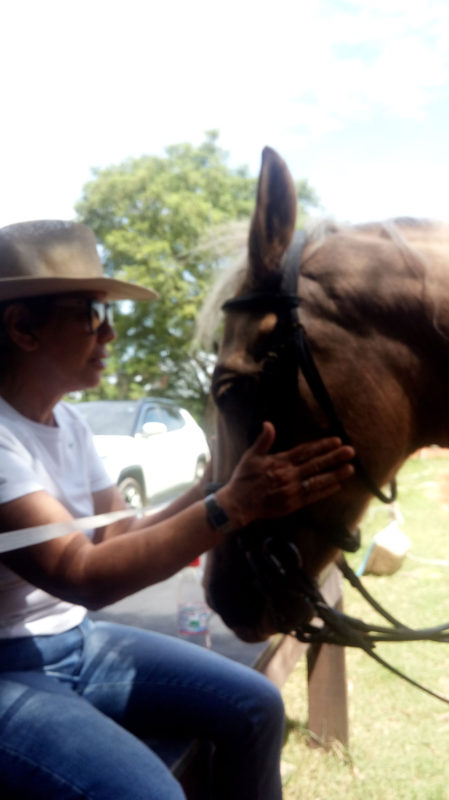 Montar Cavalos na Terceira Idade