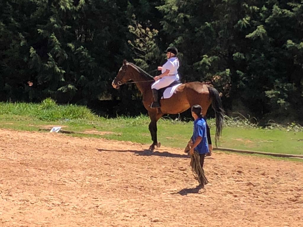 Montar Cavalos na Terceira Idade