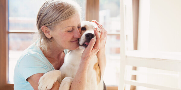 terapia assistida por animais