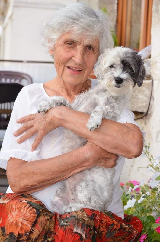 terapia assistida por animais