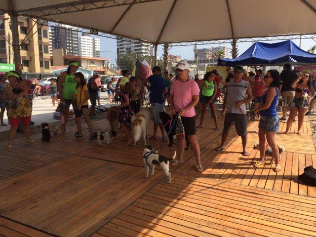 pets e família no litoral gaúcho