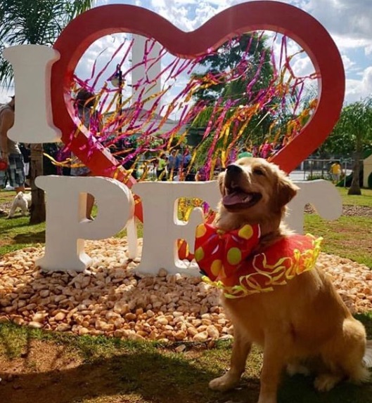 Carnaval Pet