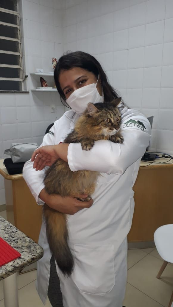 Março Amarelo entre os pets, o mês é de conscientização e prevenção para as doenças renais