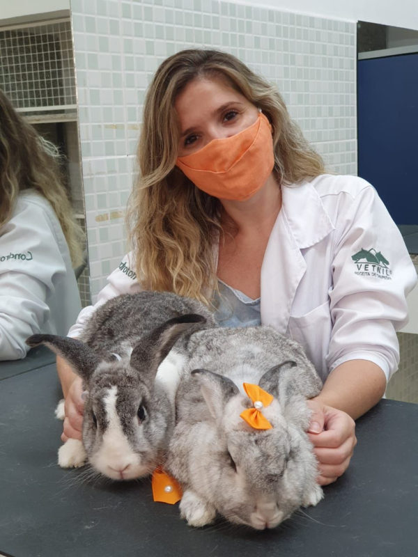 Coelhinhos - Especialista lembra que o bichinho não é brinquedo e que família presenteada precisa saber que requer cuidados específicos e visitas anuais ao veterinário