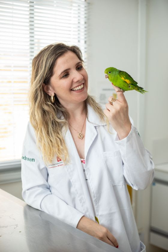 Para quem está planejando ter um pássaro como bichinho de estimação e precisa escolher a espécie, a Dra. Morgana Prado, veterinária especializada em pets não...