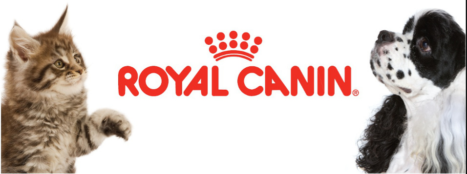 ROYAL CANIN - Já estamos oficialmente no inverno. Neste período há cuidados específicos que devemos ter com nosso corpo e saúde. E é claro que nossos pets não devem ficar de fora dessa rotina adaptada