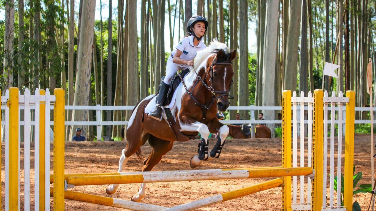 Sendo a raça mais antiga de cavalos do mundo, o Árabe possui diferentes linhagens que se adequam, perfeitamente, a qualquer uso esportivo. Entre eles,...