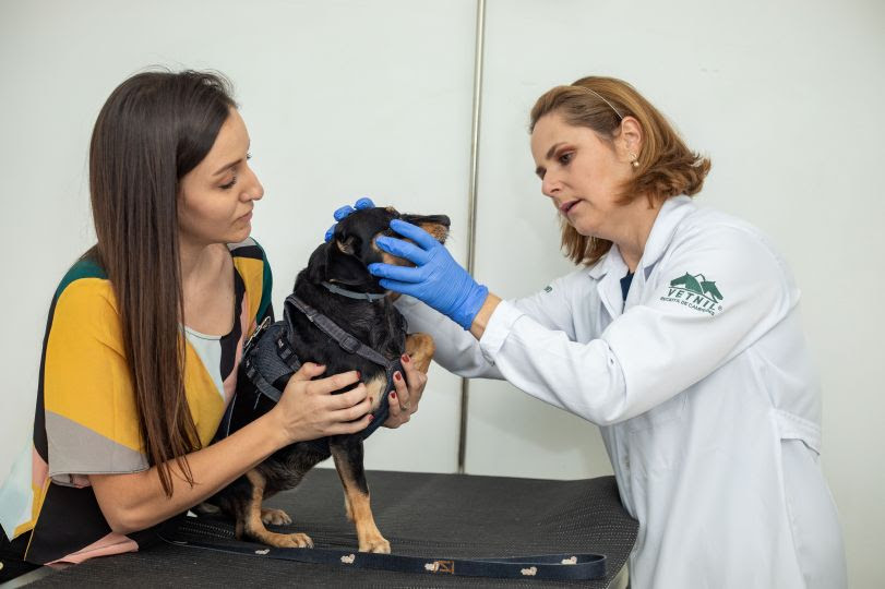 O hálito desagradável pode ser sinal de problemas graves; especialista em saúde oral detalha riscos e ensina como fazer a prevenção em casa