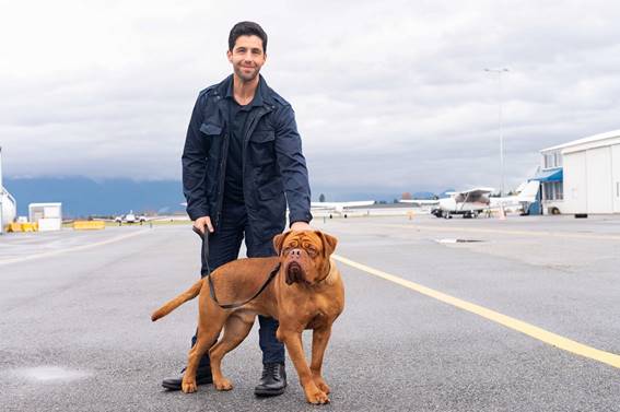 Já está disponível no Disney+ a série original Turner & Hooch, estrelada por Josh Peck (Drake e Josh). Na trama, que terá novos episódios semanais, a vida de um jovem e sistemático oficial de justiça