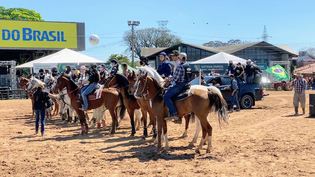 A participação do Cavalo Árabe durante a Expointer 2021 cumpriu com maestria uma das premissas do evento. Ou seja, a geração de bons negócios...