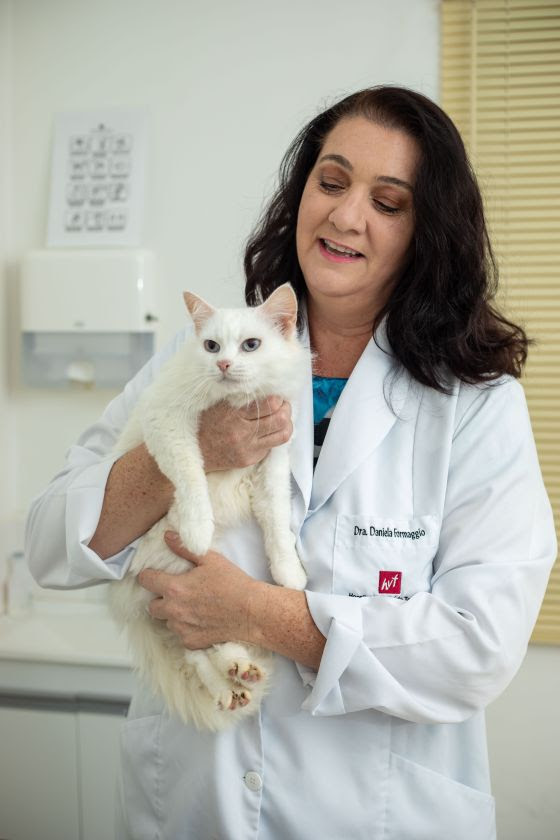 Prevenção de câncer de mama - A medicina-veterinária pega carona no Outubro Rosa e lança campanhas também para as fêmeas de cães e gatos. No Hospital Veterinário Taquaral (HVT), em Campinas, há duas veterinárias especializadas em oncologia animal