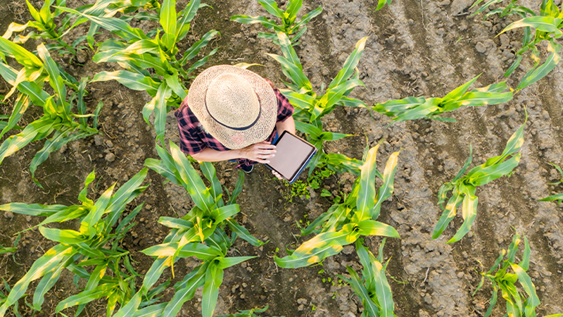 As inscrições para o a terceira edição do Youth Agribusiness Movement International – YAMI seguem abertas. O evento desse ano será realizado em Digital Experience, nos dias 25, 26 e 27 de outubro, das 16h30 às 18h, terá como tema “Digital & Agregação de Valor. A Nova Liderança no Agro”