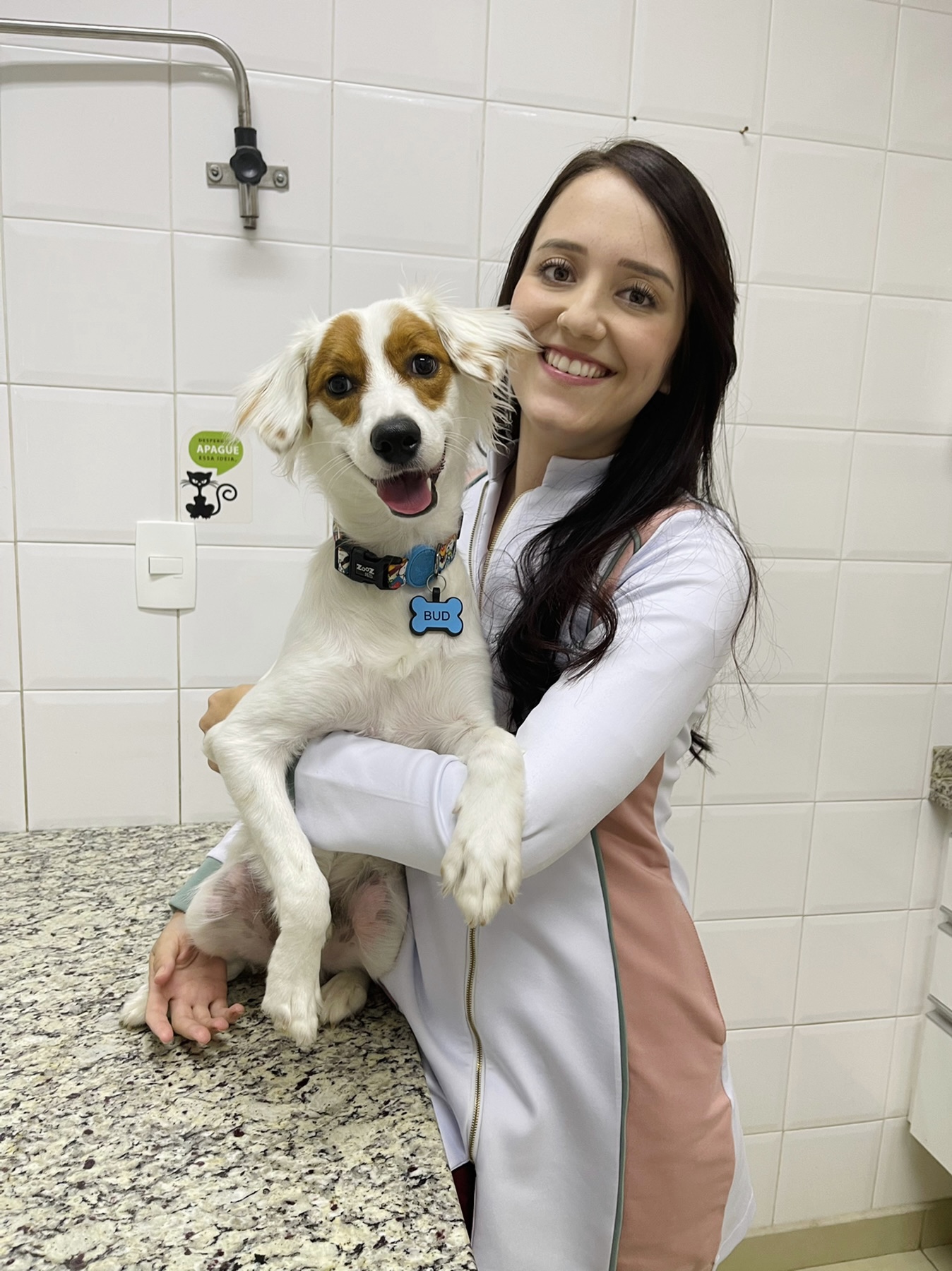 Quem tem cãozinho de estimação e leva o animal nas viagens da família tem agora mais um motivo para visitar a cidade de Santos (SP)