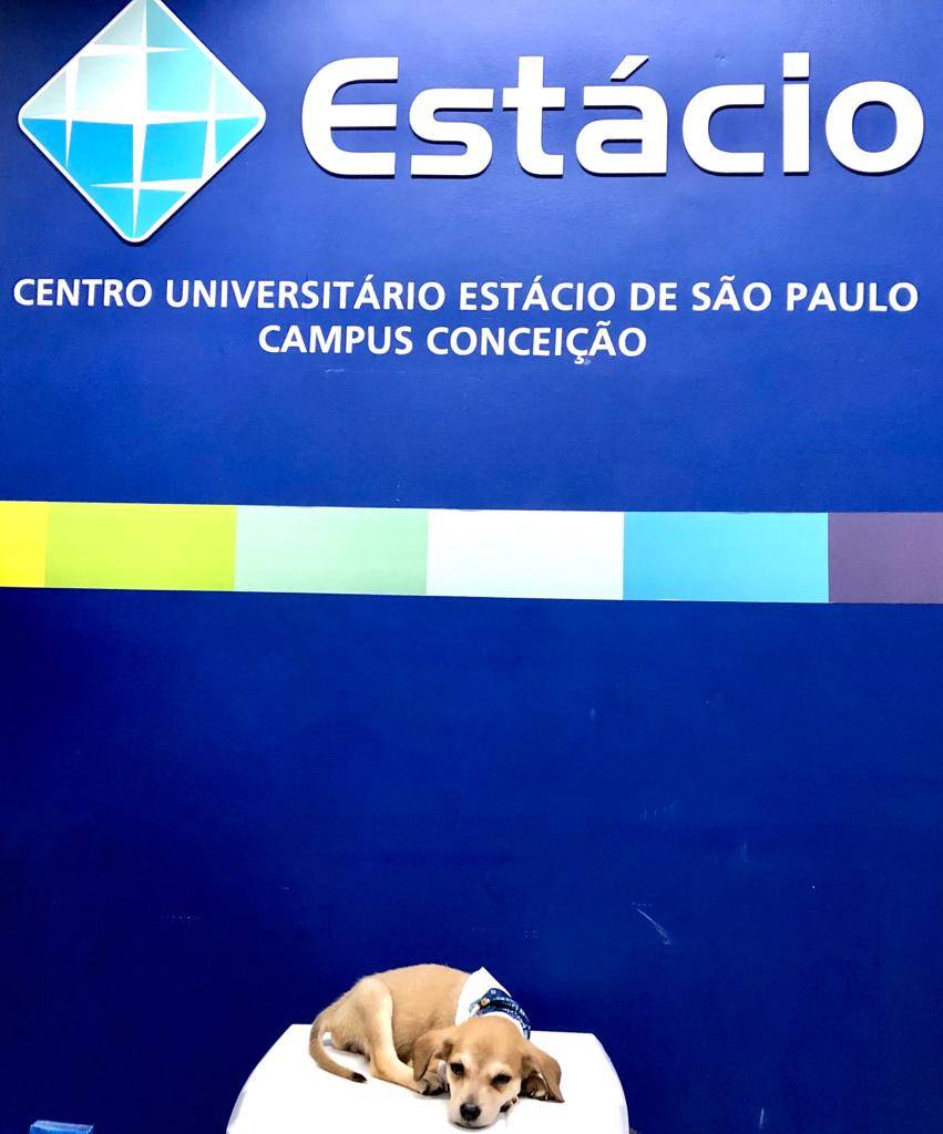 Em clima de volta às aulas, a Estácio terá uma Feira Pet de adoção organizada em parceria com instituições de caridade e abrigos. O evento ocorrerá no campus