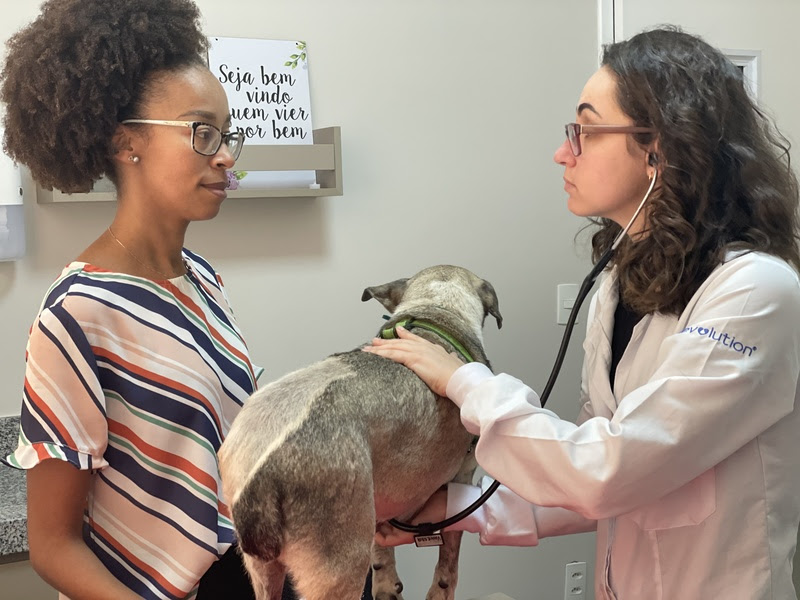 "Licença PETernidade" - Uma ação criada pela Petz -- uma rede brasileira de pet shops -- no ano passado para estimular a adoção de cães e gatos tem sido...