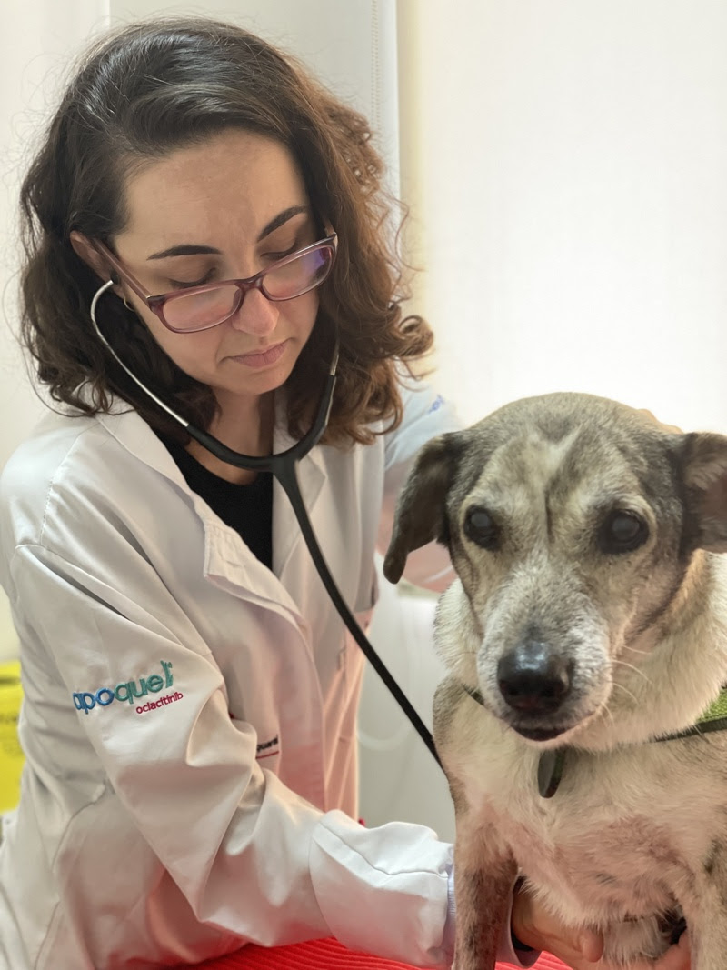 "Licença PETernidade" - Uma ação criada pela Petz -- uma rede brasileira de pet shops -- no ano passado para estimular a adoção de cães e gatos tem sido...