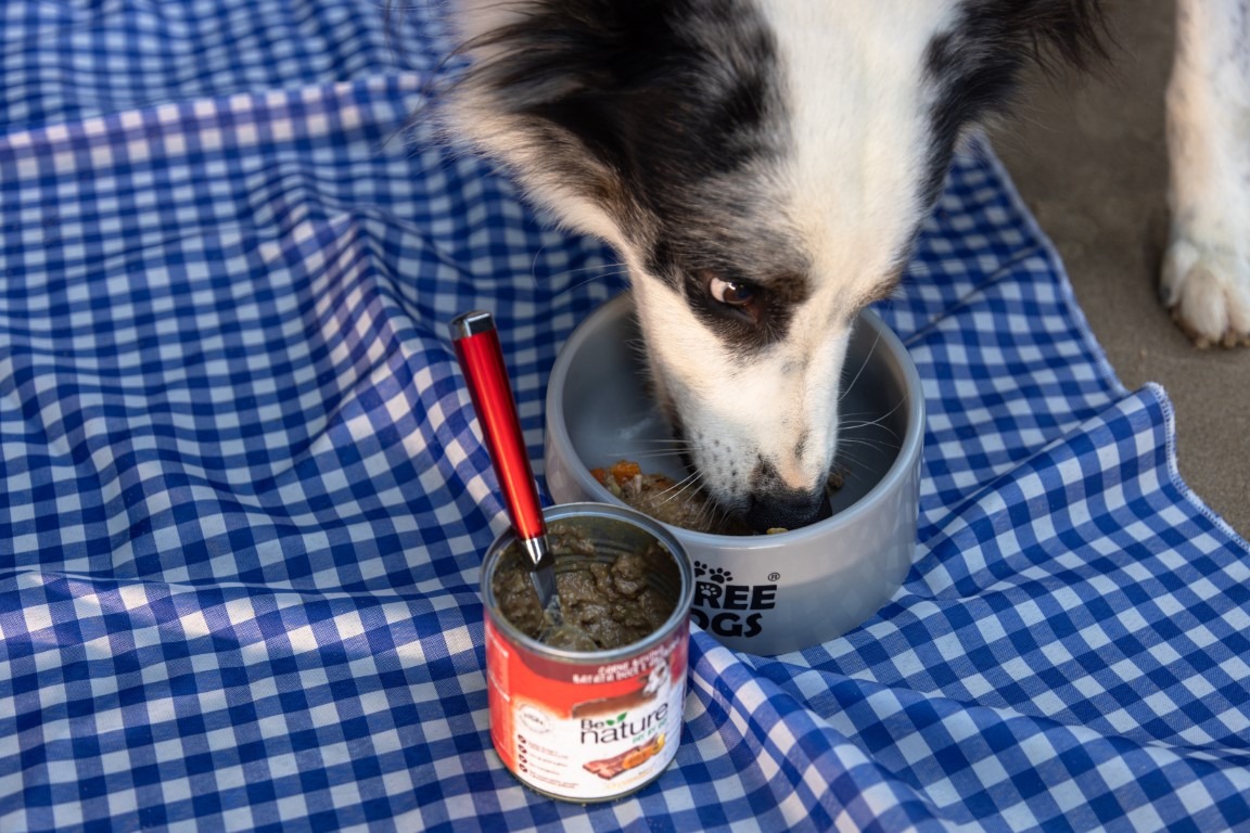 Quando se fala em comida para cães e gatos automaticamente vem a associação com rações secas, certo? Nem sempre. O setor de pet food, que é o mais que cresce...