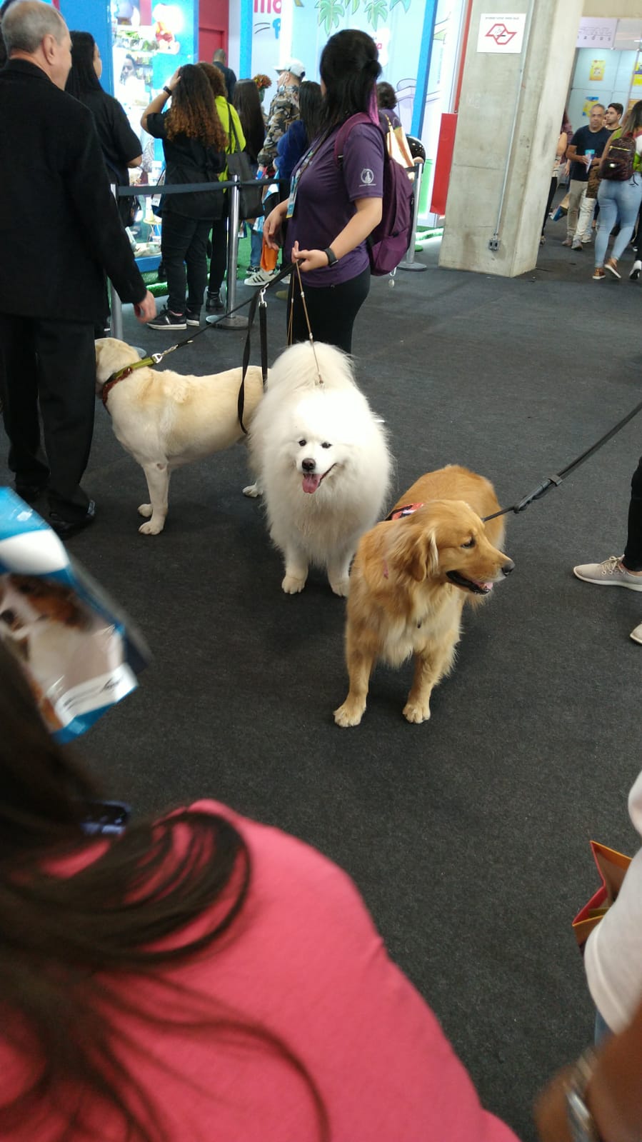 A PET South America comemorou nesta edição, 20 anos de existência, onde os três dias de evento contaram com o pavilhão da São Paulo Expo completamente lotado