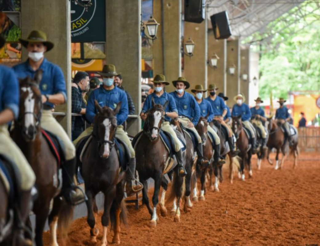 O maior evento da raça Mangalarga do Brasil começou e já comemora números expressivos. 44ª Exposição Nacional do Cavalo Mangalarga, realizada entre hoje (7)...