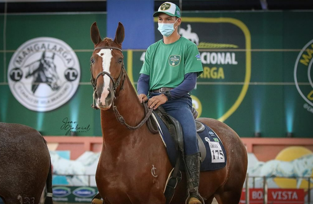 O maior evento da raça Mangalarga do Brasil começou e já comemora números expressivos. 44ª Exposição Nacional do Cavalo Mangalarga, realizada entre hoje (7)...