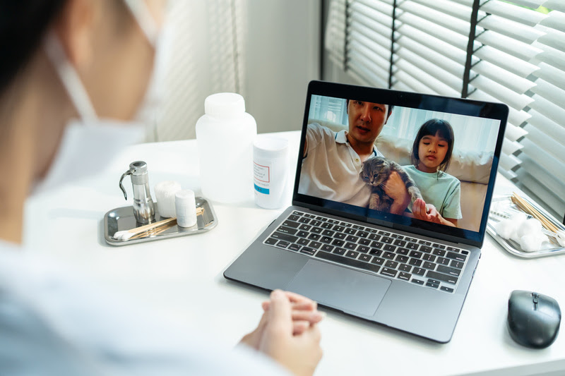 Setor Pet - Para ajudar pais e mães de cães e gatos nos cuidados diários com seus animais de estimação, a startup Guiavet reúne todos os dados dos pets em um...