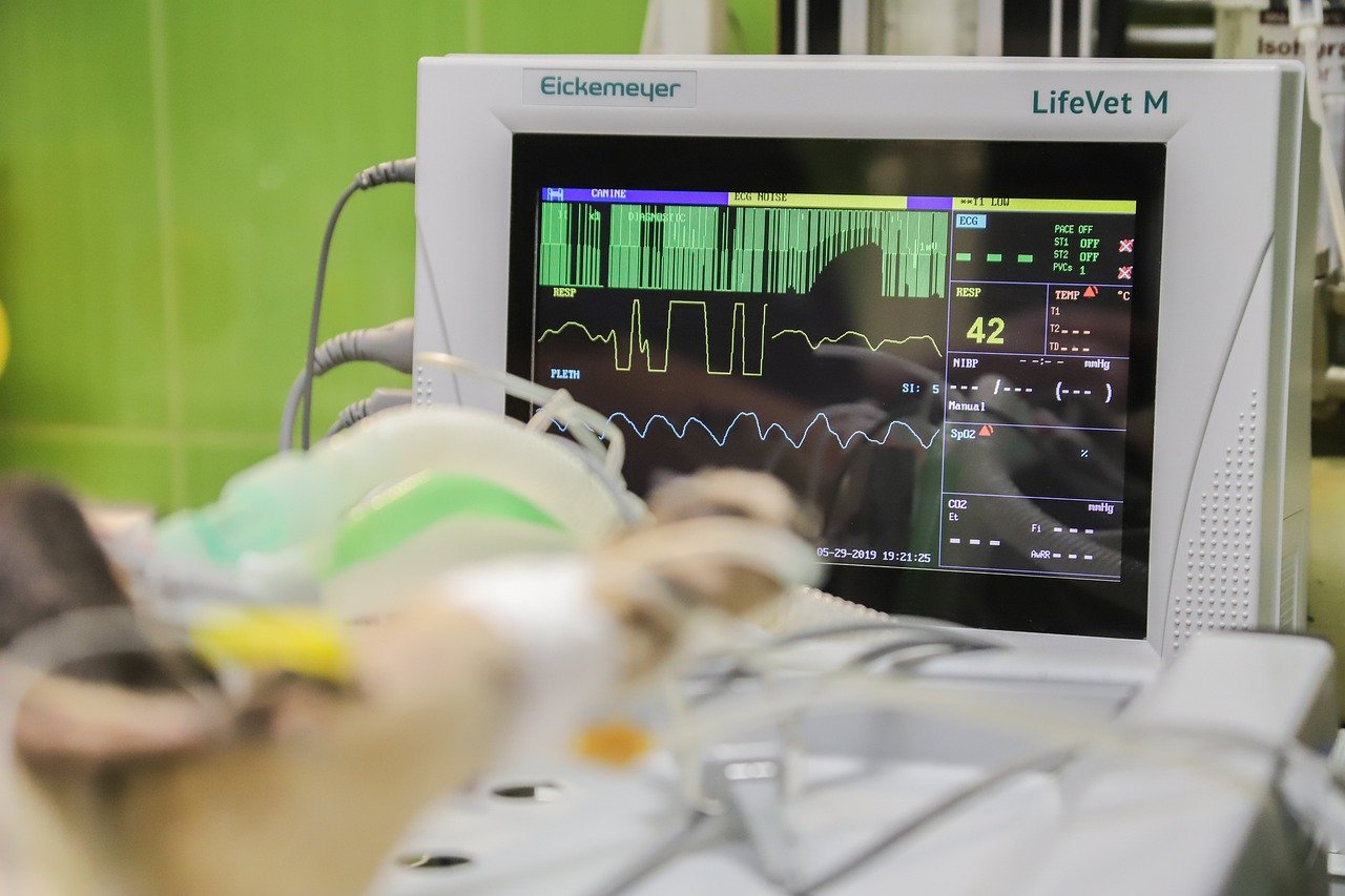 Em 9 de setembro de 1993 foi regulamentada a profissão de médico veterinário, transformando a data no dia oficial em comemoração à profissão. Desde então, a...