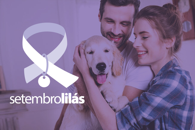 Campanha Setembro Lilás - Atualmente, o câncer é uma das principais causas de óbito entre cães e gatos, mas, com a adoção de algumas medidas preventivas, os...