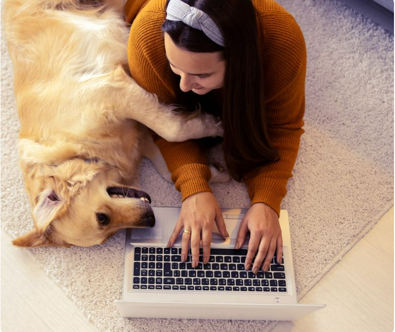 Setor Pet - Para ajudar pais e mães de cães e gatos nos cuidados diários com seus animais de estimação, a startup Guiavet reúne todos os dados dos pets em um...