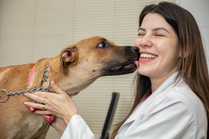 Os pets ganham o coração dos tutores, que os têm em lugar de honra na família. E é recíproco. Os animais também demonstram claramente o seu sentimento...