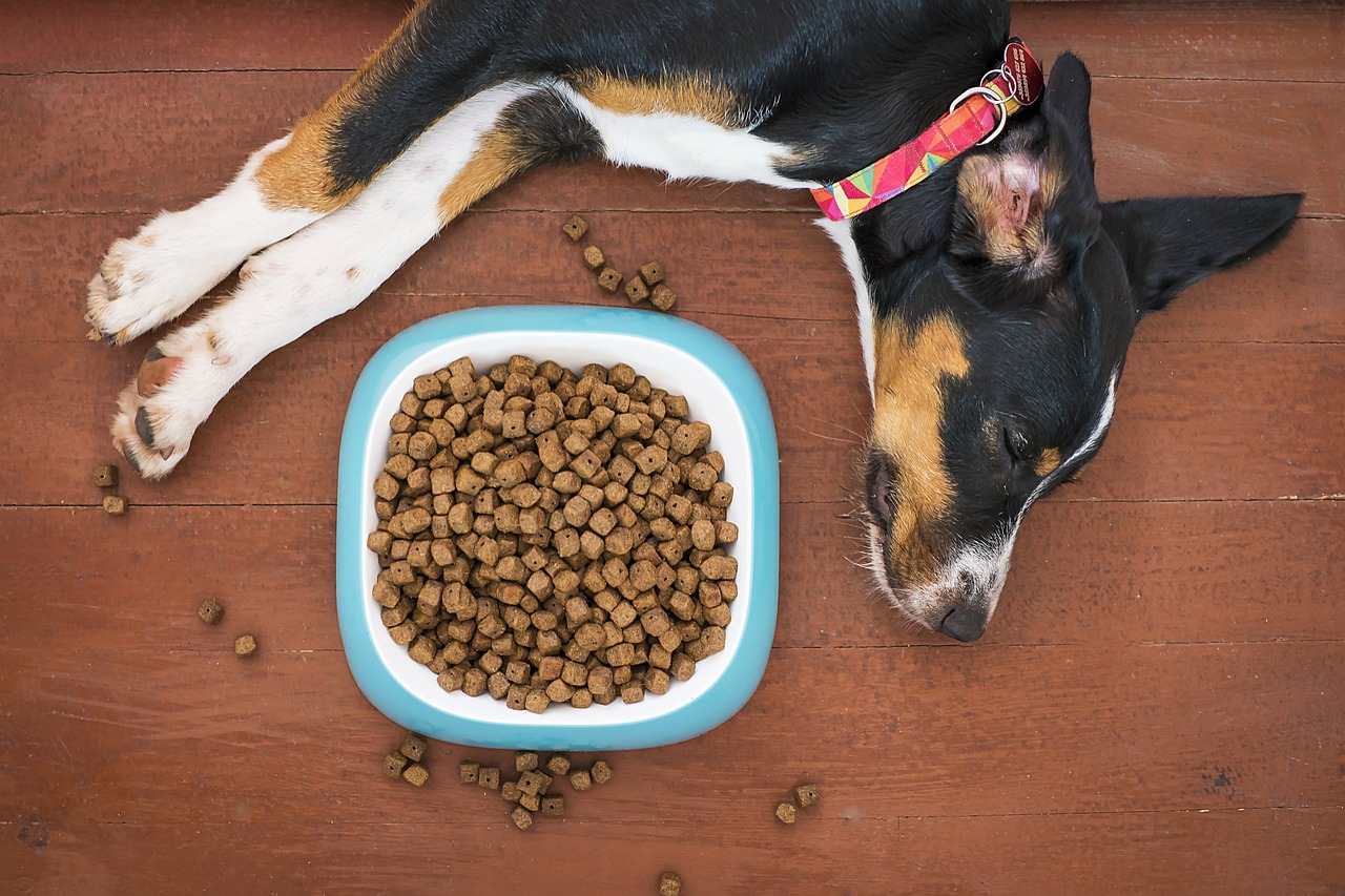 Etilenoglicol, Oferecer alimentos de qualidade e seguros para os animais de estimação é um tema constantemente abordado, tendo em vista o carinho e o cuidado...