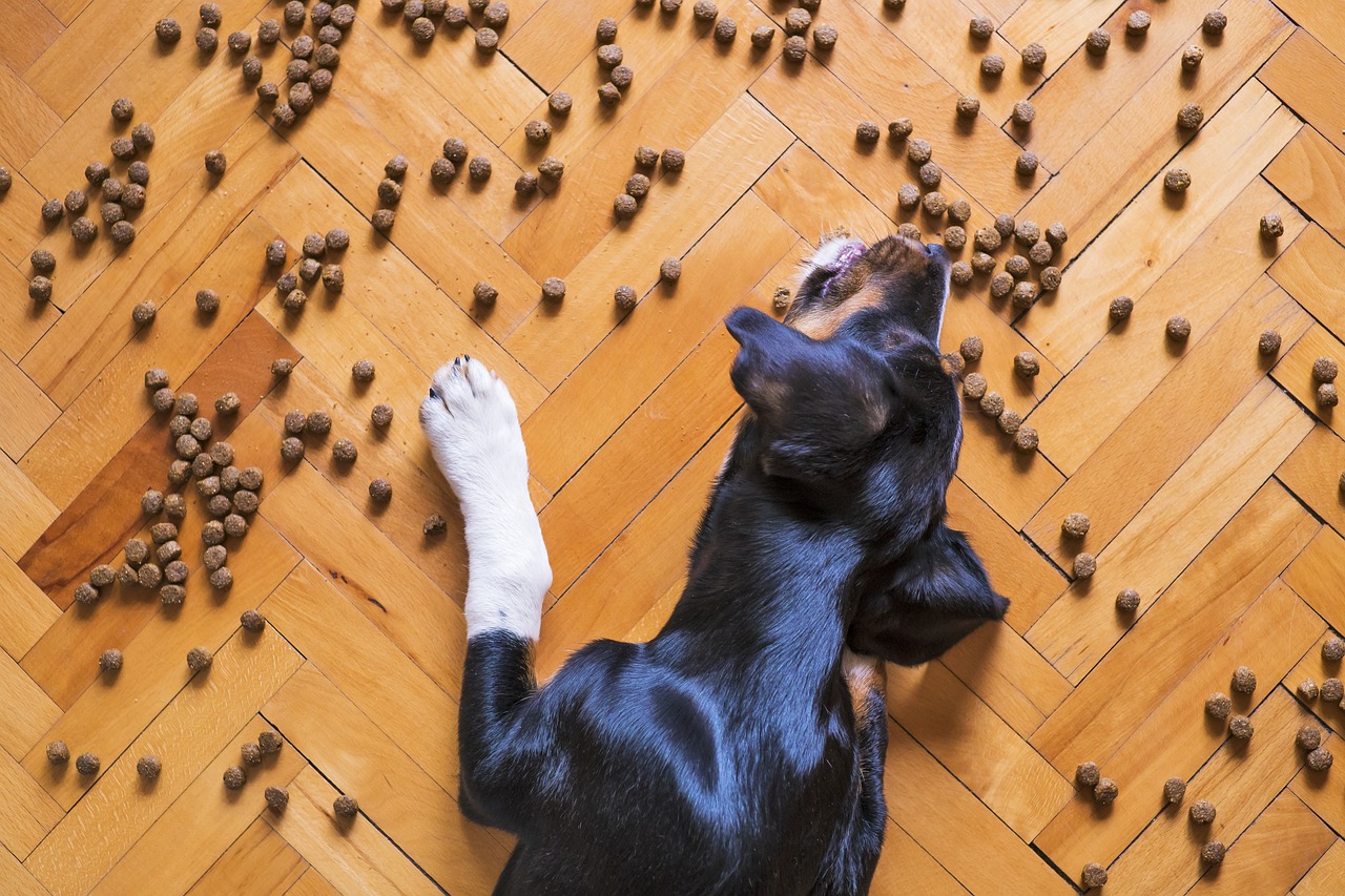 Etilenoglicol, Oferecer alimentos de qualidade e seguros para os animais de estimação é um tema constantemente abordado, tendo em vista o carinho e o cuidado...