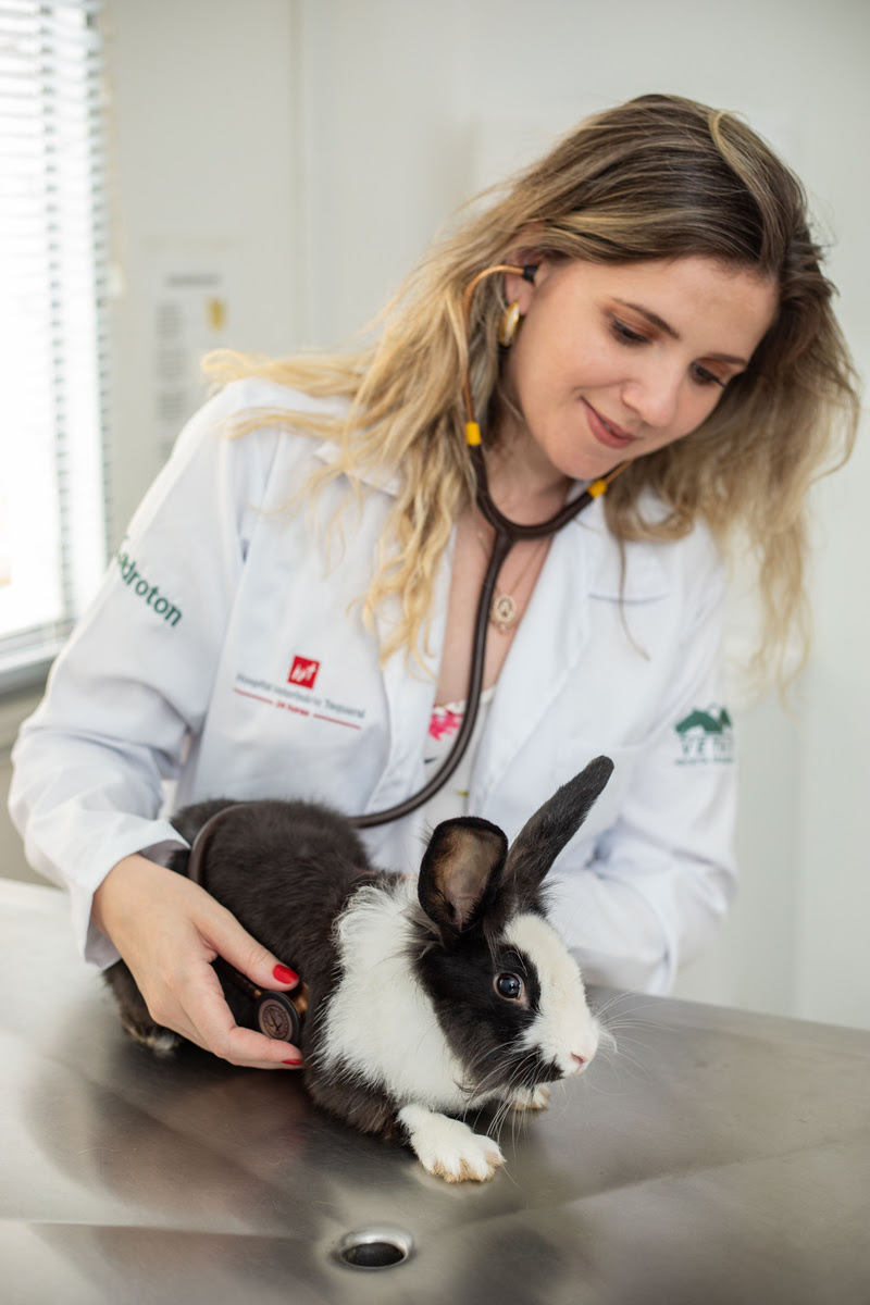 O verão está chegando e as altas temperaturas exigem cuidados extras com os pets. E atenção: nem sempre o que refresca o tutor é adequado para o animal, bem...