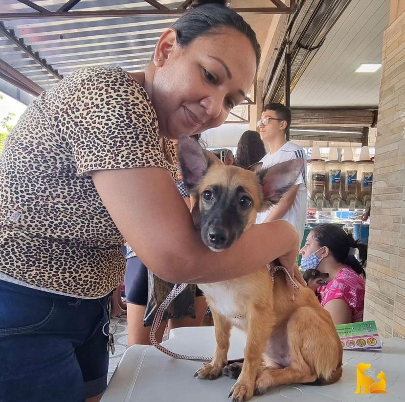 Cia da Ração realiza nesse sábado (11) Vacinação antirrábica (em parceria com o Centro de Zoonoses), orientação veterinária e vermifugação para animais da...