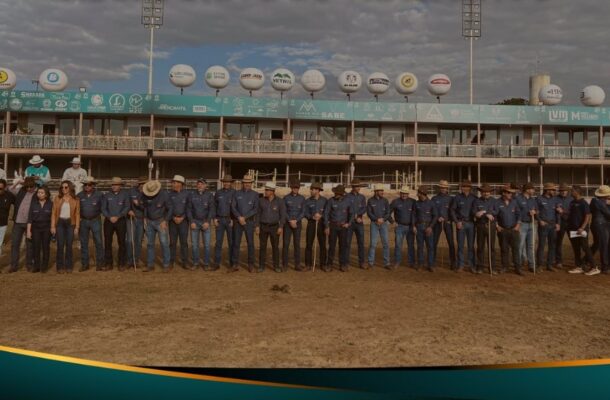 O manejo adequado para a recuperação de cavalos atletas após atuação em campeonatos é de suma importância para manter a qualidade da saúde animal. Uma das...