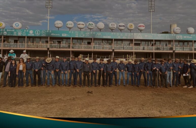 O manejo adequado para a recuperação de cavalos atletas após atuação em campeonatos é de suma importância para manter a qualidade da saúde animal. Uma das...